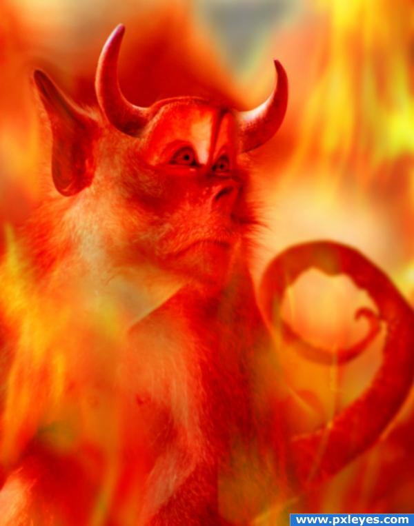 Creation of devil`s pet: Final Result